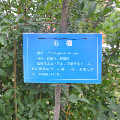高阳小区楼宇标识